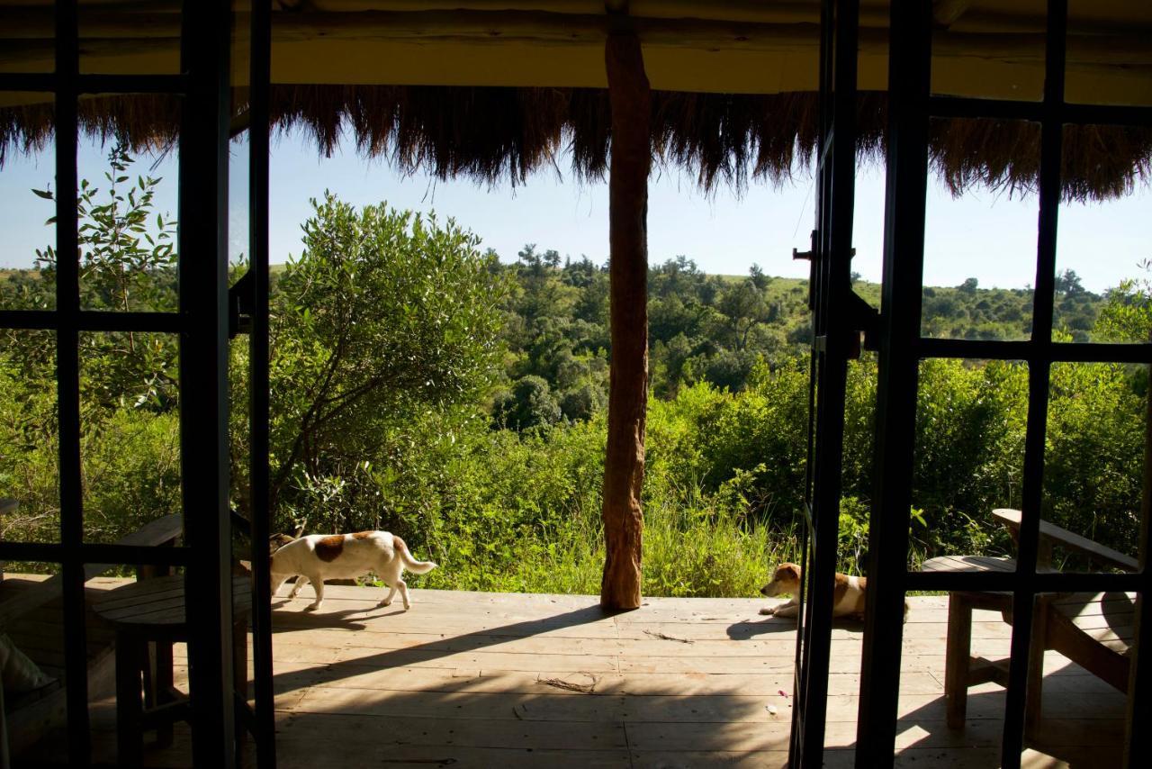 Olepangi Farm Villa Nanyuki Buitenkant foto